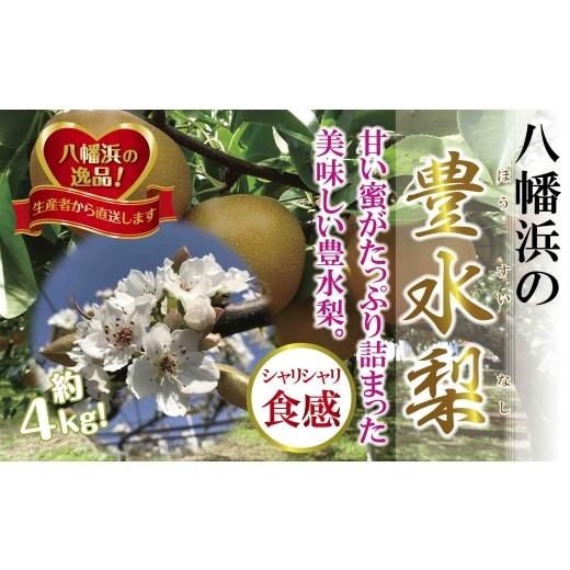 ふるさと納税 梨 愛媛県 八幡浜市 八幡浜の梨、果汁たっぷり 「豊水」4キロ D39-37 _梨 なし ナシ 豊水 果物 フルーツ くだもの 青果 果実 旬 季節限定 ジュー…