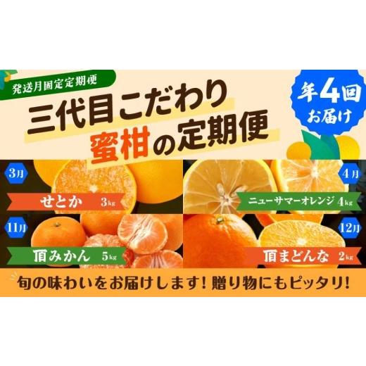 ふるさと納税 果物類 みかん 愛媛県 八幡浜市  発送月固定定期便 柑橘 みかん・まどんな・せとか・ニューサマーオレンジ H31-46 全4回 4058612 YWTAC035_1