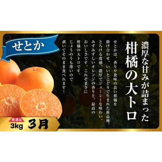 ふるさと納税 果物類 みかん 愛媛県 八幡浜市  発送月固定定期便 柑橘 みかん・まどんな・せとか・ニューサマーオレンジ H31-46 全4回 4058612 YWTAC035_2