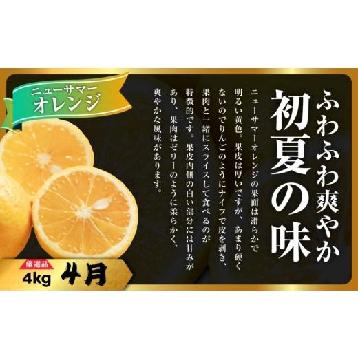 ふるさと納税 果物類 みかん 愛媛県 八幡浜市  発送月固定定期便 柑橘 みかん・まどんな・せとか・ニューサマーオレンジ H31-46 全4回 4058612 YWTAC035_3