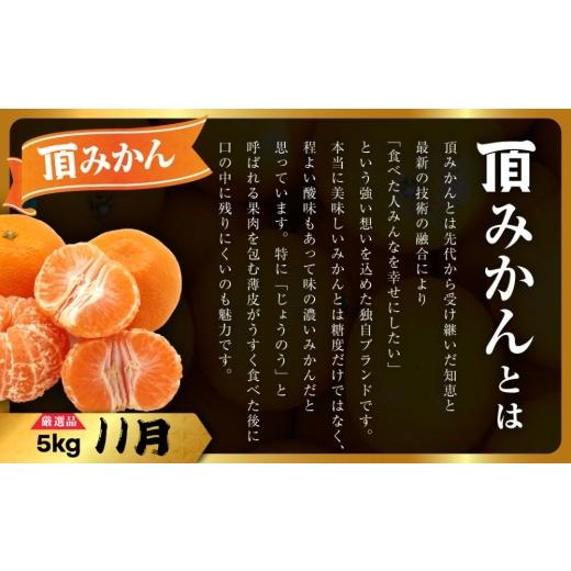 ふるさと納税 果物類 みかん 愛媛県 八幡浜市  発送月固定定期便 柑橘 みかん・まどんな・せとか・ニューサマーオレンジ H31-46 全4回 4058612 YWTAC035_4