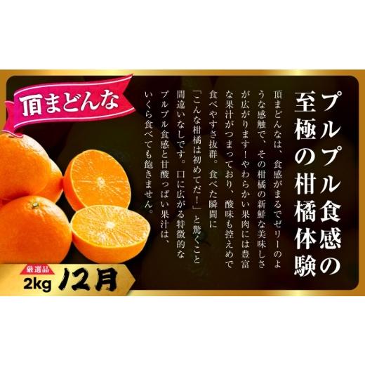 ふるさと納税 果物類 みかん 愛媛県 八幡浜市  発送月固定定期便 柑橘 みかん・まどんな・せとか・ニューサマーオレンジ H31-46 全4回 4058612 YWTAC035_5