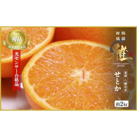 ふるさと納税 みかん・柑橘類 愛媛県 八幡浜市 極撰柑橘 雅 光センサー合格品・柑橘の大トロ「 せとか 」約2キロ C39-47 _みかん ミカン 柑橘 せとか フルー…