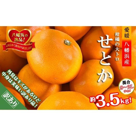 ふるさと納税 みかん・柑橘類 愛媛県 八幡浜市 柑橘の大トロ 「せとか」約3.5キロ 訳あり品・家庭向け C39-51 _訳アリ わけあり ワケアリミカン みかん せとか…