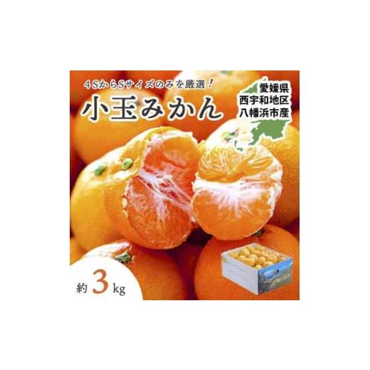 ふるさと納税 果物類 みかん 愛媛県 八幡浜市 小さいみかんを厳選 愛媛みかん小玉3kg 訳あり A25-218 1626121 YW