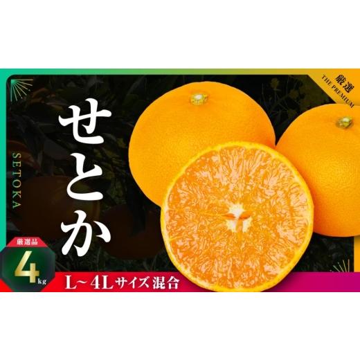 ふるさと納税 みかん・柑橘類 愛媛県 八幡浜市 三代目の柑橘の大トロ せとか 4kg サイズ:L〜4L混合 E31-52 _みかん ミカン 柑橘 せとか フルーツ くだもの 果…