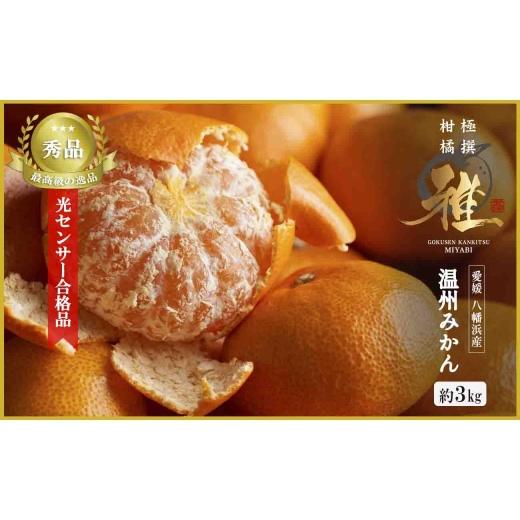 ふるさと納税 果物類 みかん 愛媛県 八幡浜市 極撰柑橘 雅 光センサー合格品「八幡浜温州みかん」約3キロ C39-53 _ みかん ミカン 柑橘 温州 果物 くだもの フ…