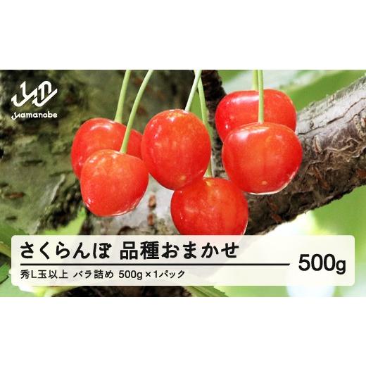 ふるさと納税 果物類 さくらんぼ 山形県 山辺町 [先行予約] 山形県産 さくらんぼ 品種おまかせ バラパック詰 秀 L玉以上 500g (500g×1) 2026年6月上旬〜6…