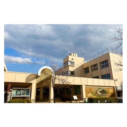 ふるさと納税 米 コシヒカリ 茨城県 笠間市 笠間市立の小・中学校を支援 笠間小学校 各学校の校章入り 笠間市産 真空パックコシヒカリ 米 精米 白米 コシヒカ…