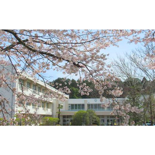 ふるさと納税 米 コシヒカリ 茨城県 笠間市 笠間市立の小・中学校を支援 稲田小学校 米 精米 白米 コシヒカリ こしひかり 真空 パック お米 お弁当 おにぎり …