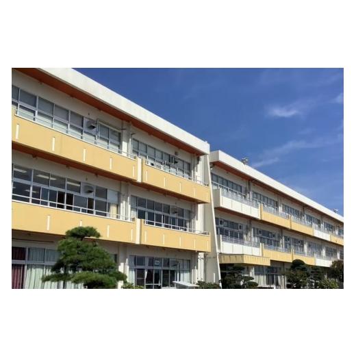 ふるさと納税 米 コシヒカリ 茨城県 笠間市 笠間市立の小・中学校を支援 宍戸小学校 米 精米 白米 コシヒカリ こしひかり 真空 パック お米 お弁当 おにぎり …