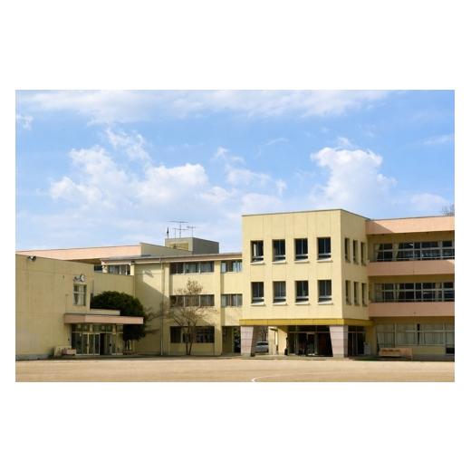 ふるさと納税 米 コシヒカリ 茨城県 笠間市 笠間市立の小・中学校を支援 友部小学校 米 精米 白米 コシヒカリ こしひかり 真空 パック お米 お弁当 おにぎり …