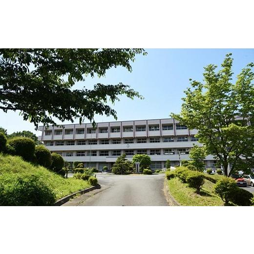 ふるさと納税 米 コシヒカリ 茨城県 笠間市 笠間市立の小・中学校を支援 稲田中学校 米 精米 白米 コシヒカリ こしひかり 真空 パック お米 お弁当 おにぎり …