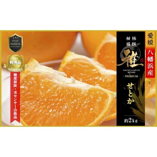 ふるさと納税 みかん・柑橘類 愛媛県 八幡浜市 極撰柑橘 雅プレミアム 糖度保証・光センサー合格品「 せとか 」約2キロ D39-62 _みかん ミカン 柑橘 せとか フ…