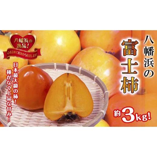 ふるさと納税 果物類 柿 愛媛県 八幡浜市 甘さにニッコリ 日本最大級の柿「富士柿」約3キロ C39-72 1620371