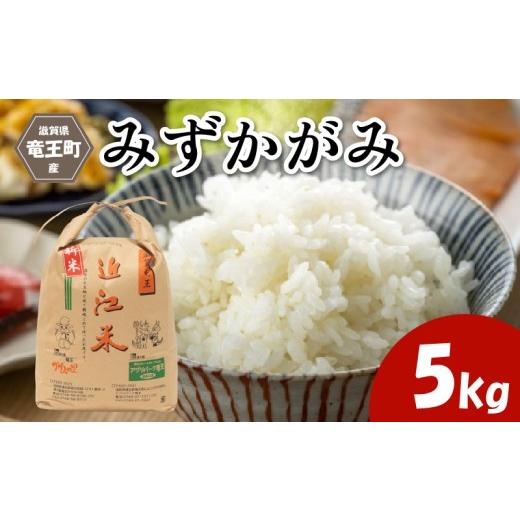 ふるさと納税 米 滋賀県 竜王町 令和7年産米 みずかがみ 精米 5kg 環境こだわり米 お米 おこめ 玄米 も選べる ミズカガミ 水鏡 2025年産 米 化学肥料不使用 特…