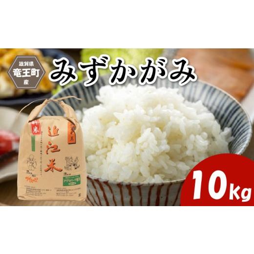 ふるさと納税 米 滋賀県 竜王町 令和7年産米 みずかがみ 精米 10kg 玄米 も選べる 環境こだわり米 お米 おこめ ミズカガミ 水鏡 2025年産 米 化学肥料不使用 …
