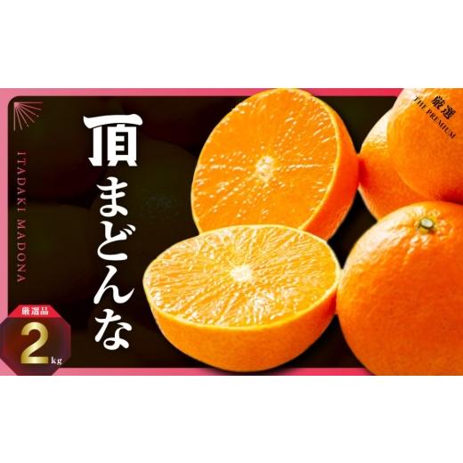 ふるさと納税 みかん・柑橘類 愛媛県 八幡浜市 冬限定の贅沢 ゼリーのような果肉 頂まどんな 2kg D31-54 _みかん ミカン マドンナ 紅まどんな同品種 柑橘 柑…