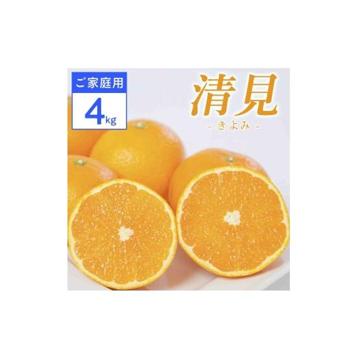 ふるさと納税 みかん・柑橘類 愛媛県 八幡浜市 ご家庭用 清見 4kg 愛媛県 八幡浜市 西宇和地区 柔らかい果肉 D25-364 1716964 YW