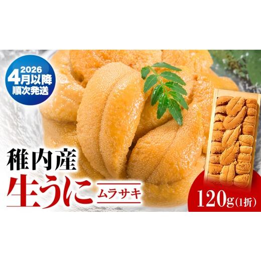 ふるさと納税 ウニ 北海道 稚内市 厳選品 生ムラサキウニ木箱入り120g