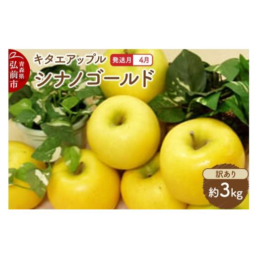 ふるさと納税 りんご 青森県 弘前市 26年4月クール便発送 りんご シナノゴールド 訳あり 約3kg CA貯蔵 キタエアップル 不揃い 規格外 アップル 産地直送 青森…
