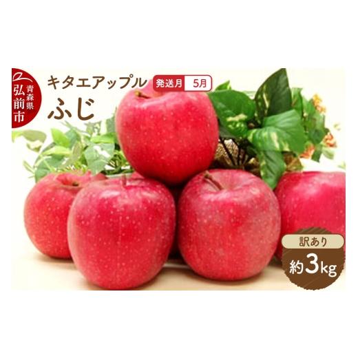 ふるさと納税 りんご 青森県 弘前市 26年5月クール便発送 りんご ふじ 訳あり 約3kg CA貯蔵 キタエアップル 不揃い 規格外 アップル 産地直送 青森県 弘前市 …