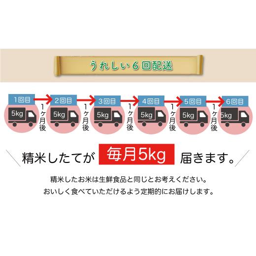 ふるさと納税 米 はえぬき 山形県 真室川町  令和8年産米先行受付 真室川町産 はえぬき 白米 定期便 30kg （5kg×1ヶ月間隔で6回お届け） 配送時期指定可の画像
