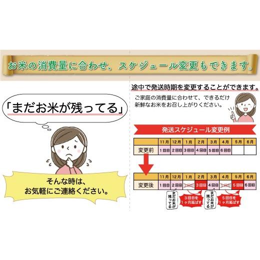 ふるさと納税 米 はえぬき 山形県 真室川町  令和8年産米先行受付 真室川町産 はえぬき 白米 定期便 30kg （5kg×1ヶ月間隔で6回お届け） 配送時期指定可の画像