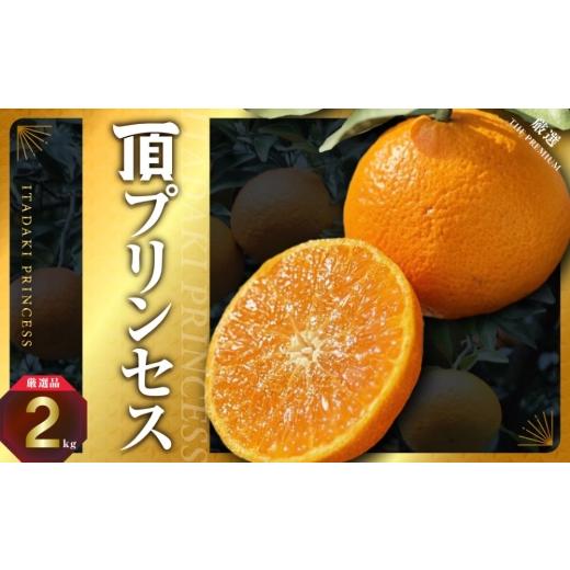 ふるさと納税 みかん・柑橘類 愛媛県 八幡浜市 紅プリンセス同品種 愛媛県産 新品種柑橘 愛果48号 甘平×まどんな 2kg D31-56 _みかん 蜜柑 ミカン 頂プリン…