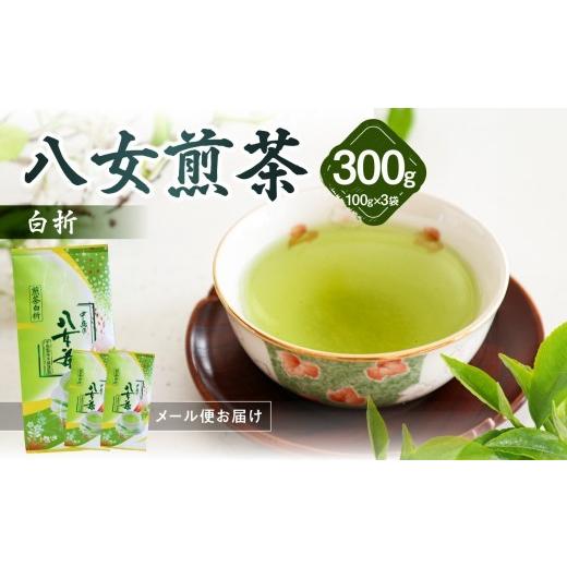 ふるさと納税 お茶類 緑茶(茶葉・ティーバッグ) 福岡県 八女市 八女煎茶白折(家庭用) 100g×3袋入 メール便 茶 お茶 煎茶 ポスト投函 簡易包装 訳あり 福岡…