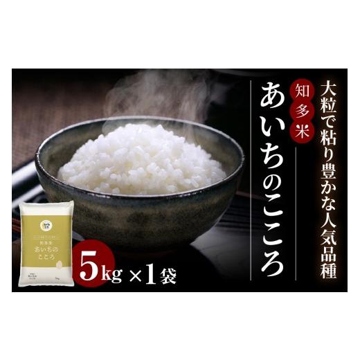 ふるさと納税 米 愛知県 常滑市 知多米あいちのこころ(5kg)│知多米 米 お米 あいちのこころ 精米 ブランド米 美味しい 国産 愛知県産 JAあいち知多 愛知県 …