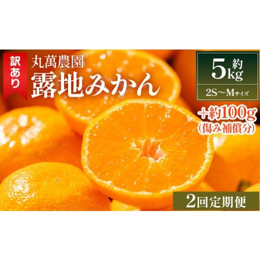 ふるさと納税 果物類 みかん 高知県 香南市 2回定期便 露地みかん(2S〜Mサイズ) 5kg 家庭用 小玉 丸萬農園 先行受付 - フルーツ定期便 果物 くだもの フルー…