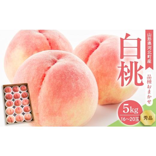 ふるさと納税 もも 山形県 河北町 令和8年産 白桃 品種おまかせ 5kg(約16〜20玉前後) ギフト箱入 秀品 山形県河北町産 山形eLab ka074-043