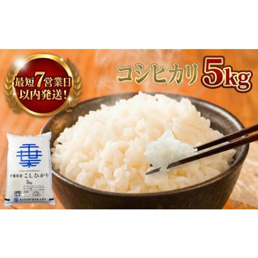 ふるさと納税 米 コシヒカリ 千葉県 香取市 スピード発送 コシヒカリ 5kg 一等米 白米 令和7年産 米 お米 5kg 米5kg お米マイスター厳選 千葉県産 こしひかり…