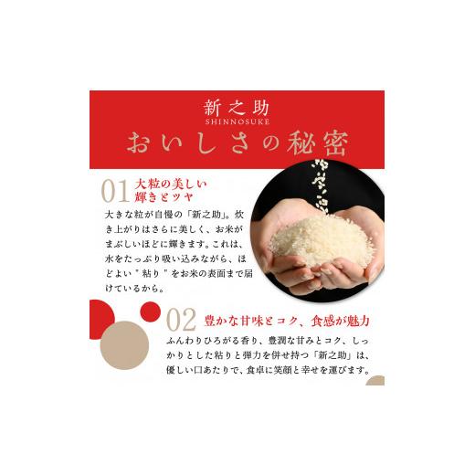 ふるさと納税 米 新潟県 妙高市  2026年8月中旬発送 令和7年産 新潟県上越妙高産新之助20kg 2026年8月中旬発送の画像