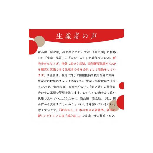ふるさと納税 米 新潟県 妙高市  2026年8月中旬発送 令和7年産 新潟県上越妙高産新之助20kg 2026年8月中旬発送の画像