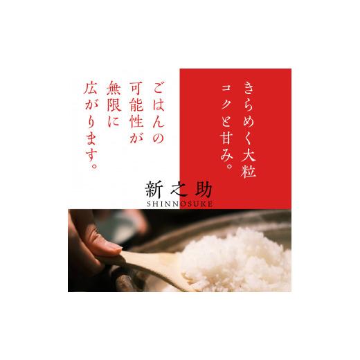 ふるさと納税 米 新潟県 妙高市  2026年8月下旬発送 令和7年産 新潟県上越妙高産新之助20kg 2026年8月下旬発送の画像