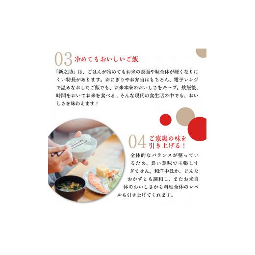 ふるさと納税 米 新潟県 妙高市  2026年8月下旬発送 令和7年産 新潟県上越妙高産新之助20kg 2026年8月下旬発送の画像