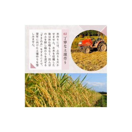 ふるさと納税 米 コシヒカリ 新潟県 妙高市  2026年8月中旬発送 新潟県妙高産コシヒカリ 20kg 2026年8月中旬発送の画像