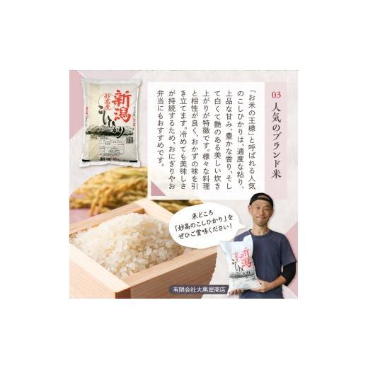 ふるさと納税 米 コシヒカリ 新潟県 妙高市  2026年8月中旬発送 新潟県妙高産コシヒカリ 20kg 2026年8月中旬発送の画像