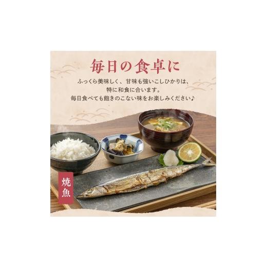 ふるさと納税 米 コシヒカリ 新潟県 妙高市  2026年8月中旬発送 新潟県妙高産コシヒカリ 20kg 2026年8月中旬発送の画像