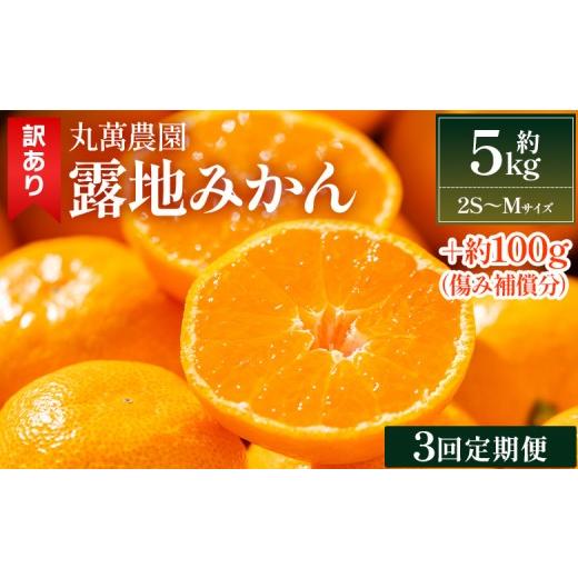 ふるさと納税 果物類 みかん 高知県 香南市 3回定期便 露地みかん(2S〜Mサイズ) 5kg 家庭用 丸萬農園 - 果物 くだもの フルーツ 果実 柑橘 かんきつ 蜜柑 み…