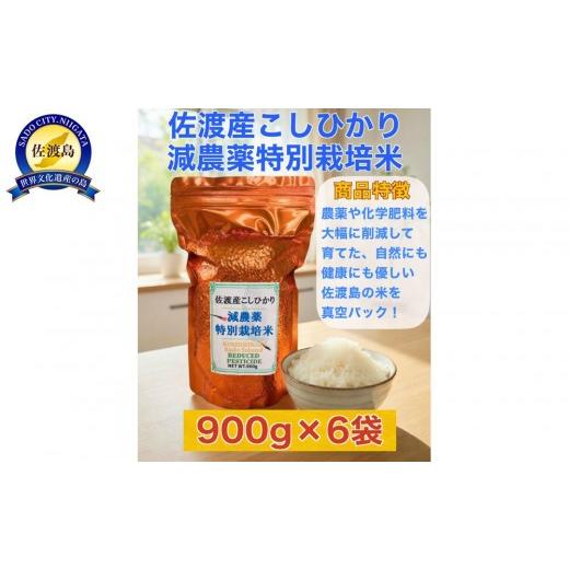 ふるさと納税 米 コシヒカリ 新潟県 佐渡市 佐渡島産 減農薬特別栽培米こしひかり 真空パック 900g×6袋セット