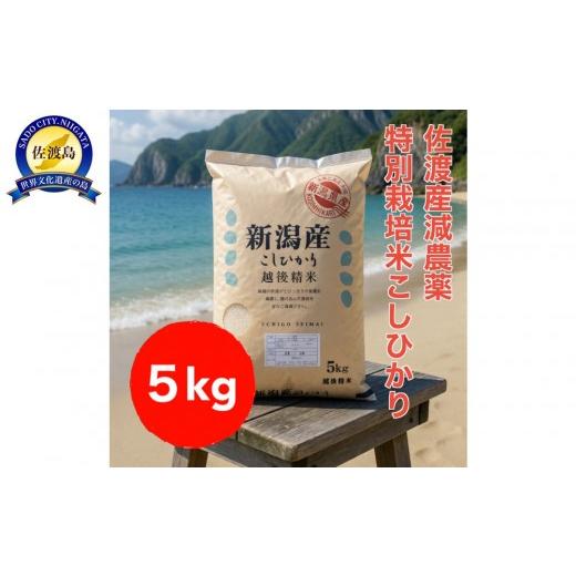 ふるさと納税 米 コシヒカリ 新潟県 佐渡市 トキと一緒に育った特別なコシヒカリ 佐渡産 減農薬特別栽培米コシヒカリ 5kg