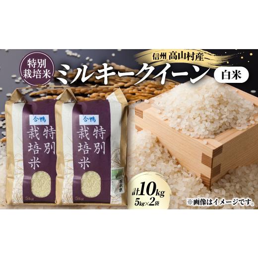 ふるさと納税 米 長野県 高山村 特別栽培米「ミルキークイーン」 白米 精米10kg(5kg×2袋) 1725869