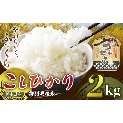 ふるさと納税 米 コシヒカリ 栃木県 矢板市 定期便3回 栃木県矢板市産 こしひかり 2kg 特別栽培米 先行予約 新米 | 栃木県 矢板市 定期便3回 こしひかり 2kg …