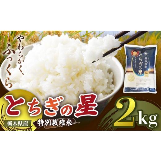 ふるさと納税 米 コシヒカリ 栃木県 矢板市 定期便3回 栃木県矢板市産 とちぎの星 2kg 特別栽培米 先行予約 新米 | 栃木県 矢板市 定期便3回 とちぎの星 2kg …