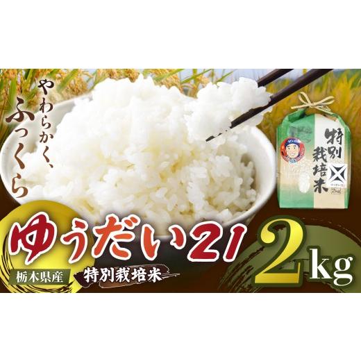 ふるさと納税 米 栃木県 矢板市 定期便3回 栃木県矢板市産 ゆうだい21 2kg 特別栽培米 先行予約 新米 | 栃木県 矢板市 定期便3回 ゆうだい21 2kg | 16,500円