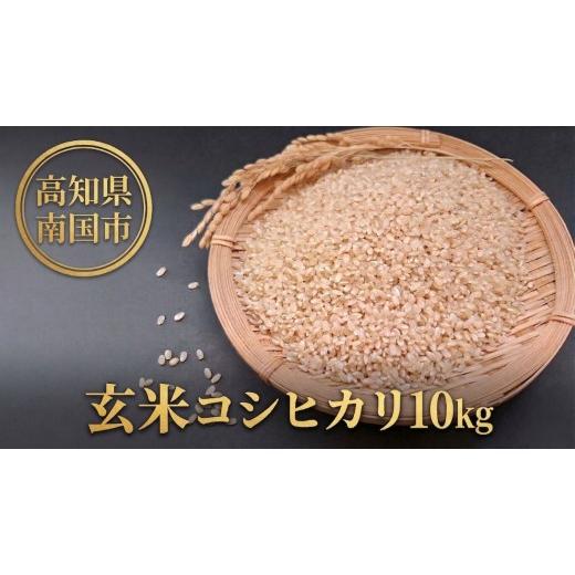 ふるさと納税 玄米 高知県 南国市 玄米 コシヒカリ 10キロ 10kg 数量限定 米 コメ お米 ご飯 おにぎり こめ 令和7年度 農家直送 産地直送 ふるさと納税 高知県…