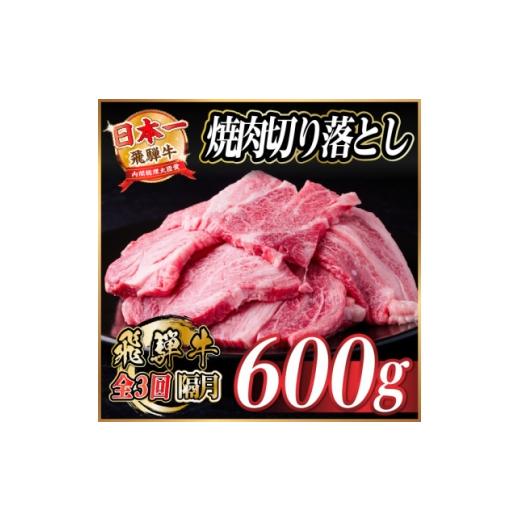 ふるさと納税 牛肉 焼肉・バーベキュー 岐阜県 羽島市 2ヵ月毎定期便 飛騨牛 焼肉切り落とし 約600g(約300g×2)タレ付き 訳あり全3回 4084209